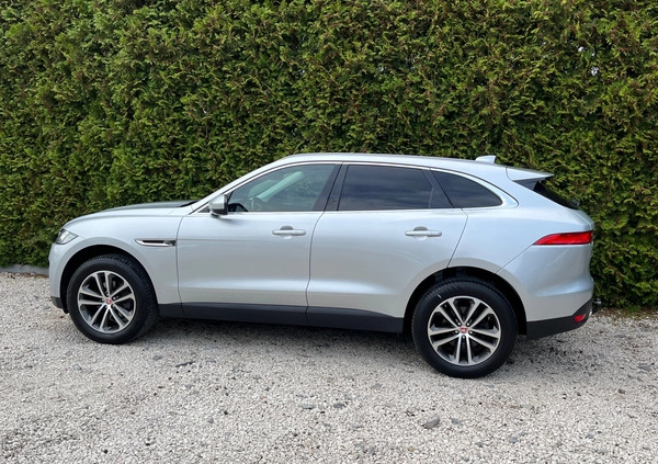 Jaguar F-Pace cena 99900 przebieg: 158000, rok produkcji 2019 z Dębica małe 121